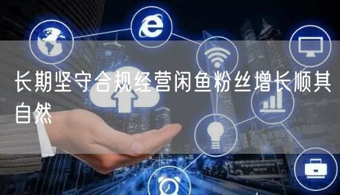 长期坚守合规经营闲鱼粉丝增长顺其自然