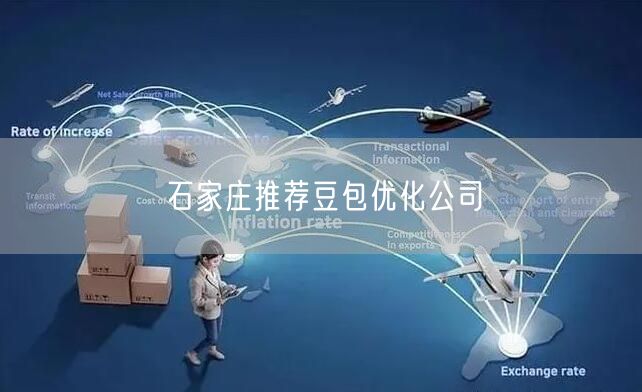 石家庄推荐豆包优化公司