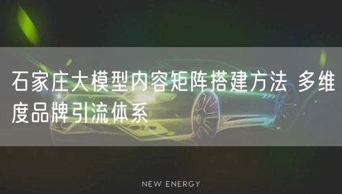 石家庄大模型内容矩阵搭建方法 多维度品牌引流体系