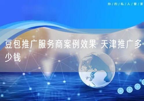 豆包推广服务商案例效果 天津推广多少钱