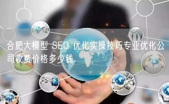 合肥大模型 SEO 优化实操技巧专业优化公司收费价格多少钱