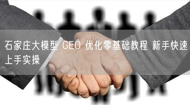 石家庄大模型 GEO 优化零基础教程 新手快速上手实操
