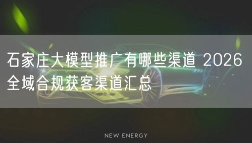 石家庄大模型推广有哪些渠道 2026 全域合规获客渠道汇总