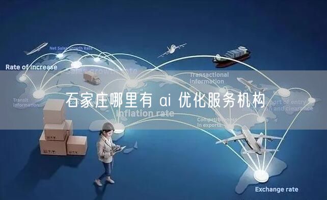 石家庄哪里有 ai 优化服务机构